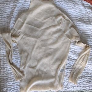 Elegant Sheer Turtleneck Top